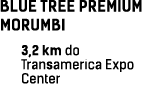 BLUE TREE PREMIUM MORUMBI 3,2 km do Transamerica Expo Center