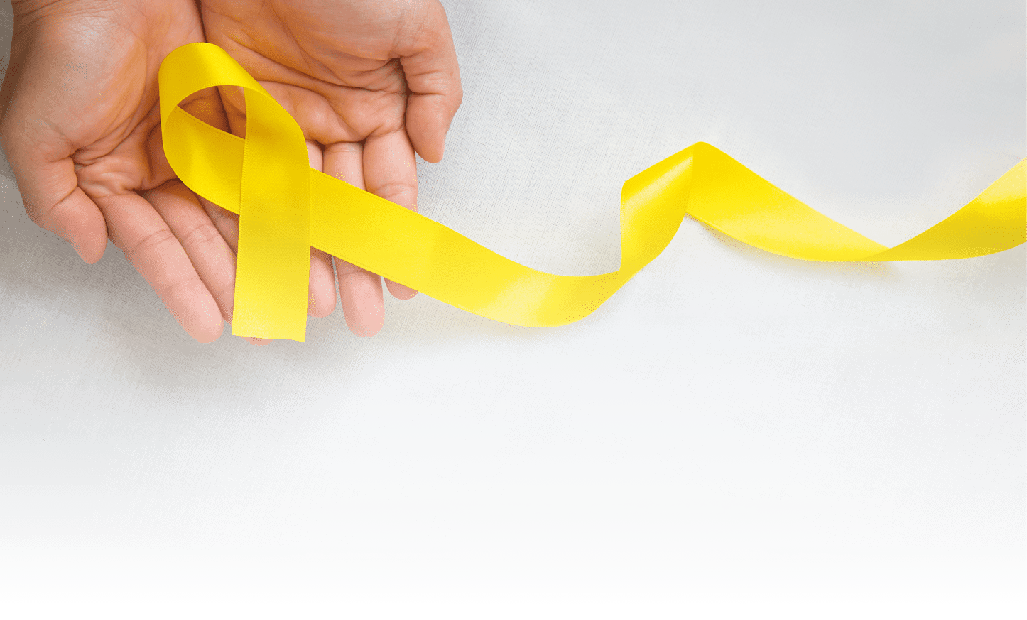 Hand holding Yellow ribbon on white background, copy space  Bone cancer, Sarcoma Awareness, childhood cancer, cholangiocarcinoma, gallbladder cancer, world Suicide Prevention Day  Health concept 